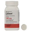 support-support-1-Lincocin